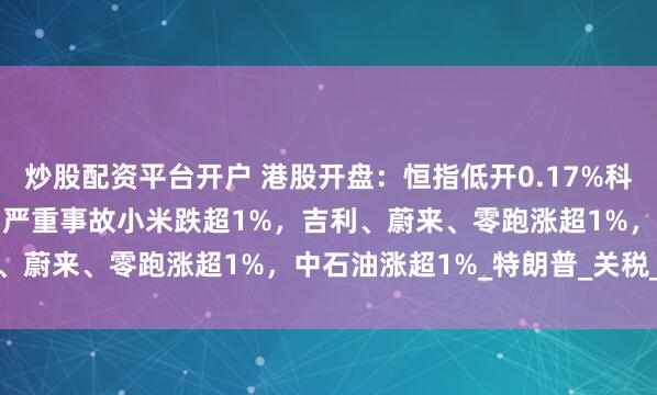 炒股配资平台开户 港股开盘：恒指低开0.17%科指跌0.16%！小米SU7严重事故小米跌超1%，吉利、蔚来、零跑涨超1%，中石油涨超1%_特朗普_关税_指数