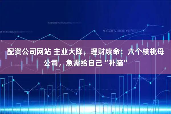 配资公司网站 主业大降，理财续命：六个核桃母公司，急需给自己“补脑”